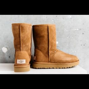 Classic Short UGG II (water proof)